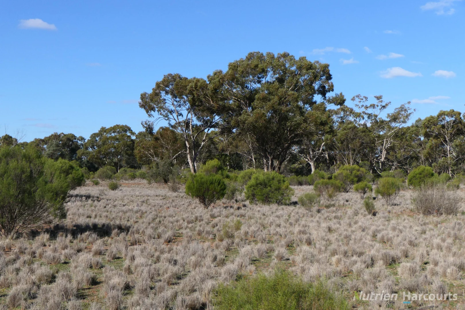 Additional image 12 of * YARRANVALE, Nymagee NSW 2831