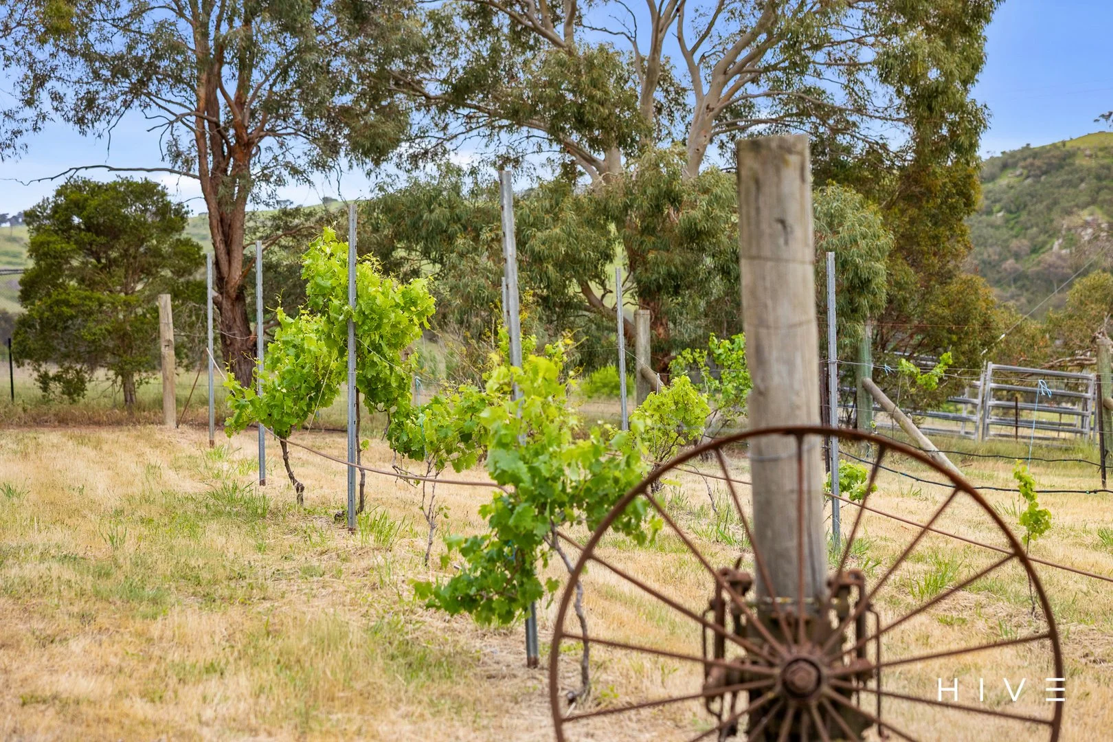 Additional image 23 of 81 McCarthy Road, Wallaroo NSW 2618