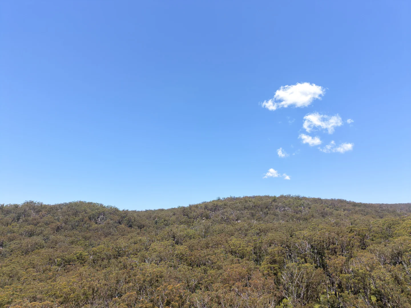 Additional image 19 of 86 Tableland Road, Tenterfield NSW 2372