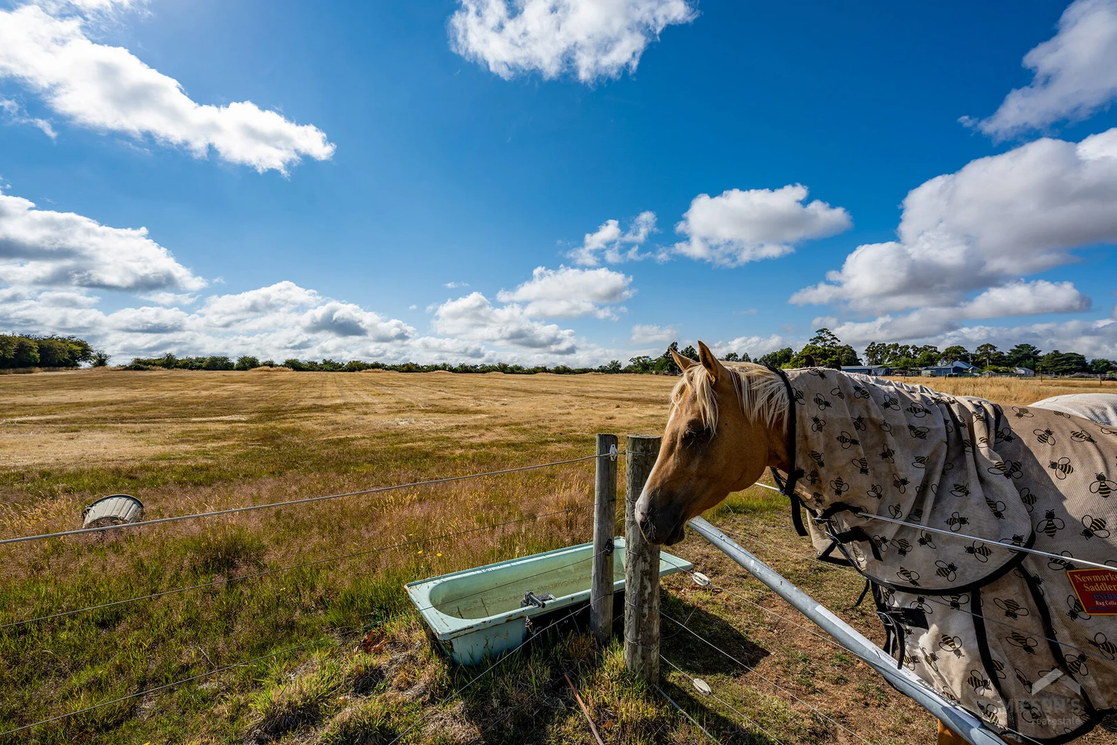 Additional image 21 of 48 Veterans Row, Westbury TAS 7303
