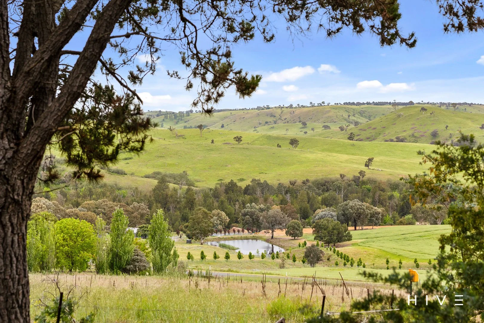 Additional image 22 of 81 McCarthy Road, Wallaroo NSW 2618