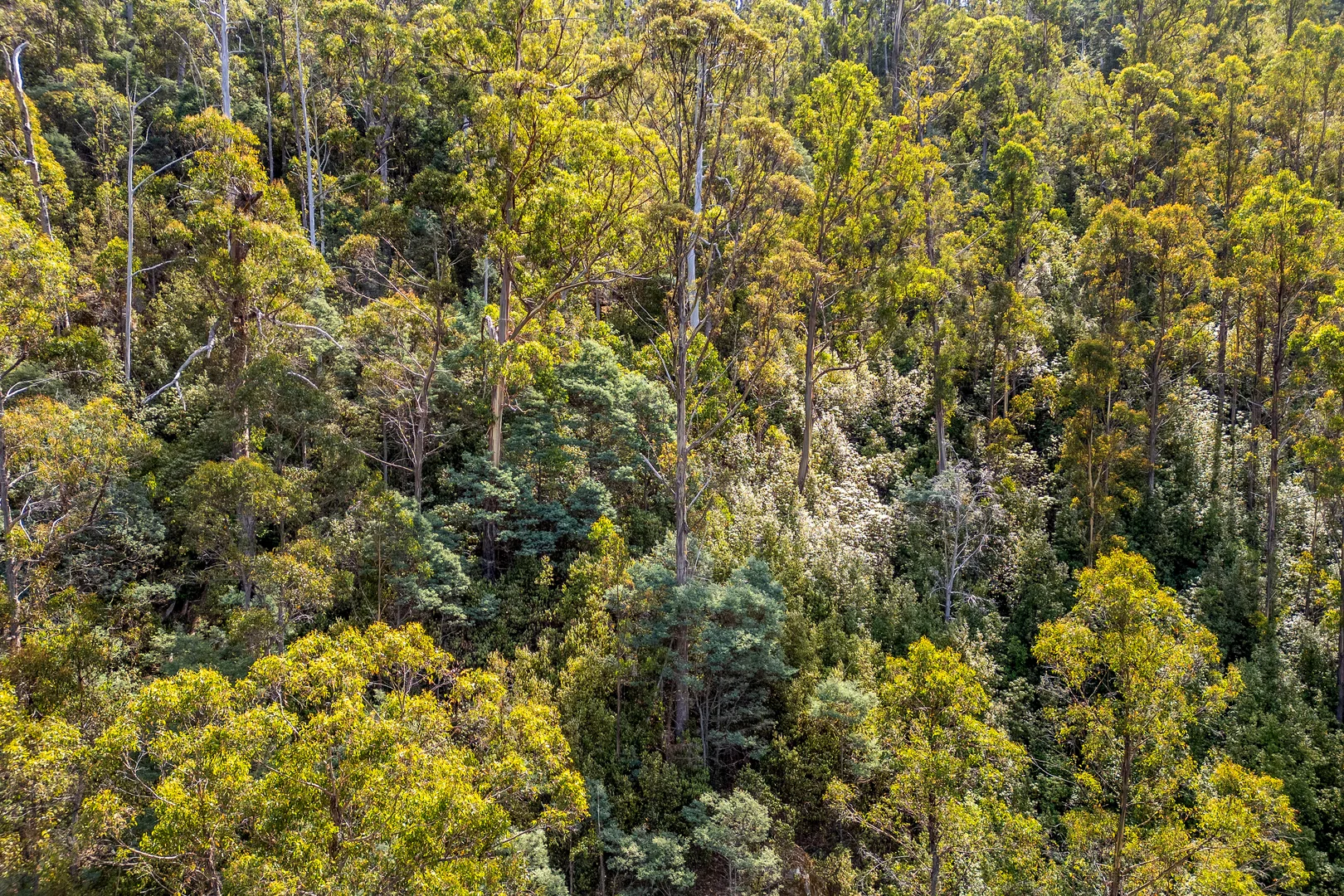 Additional image 18 of 1 Douglas Road, Molesworth TAS 7140