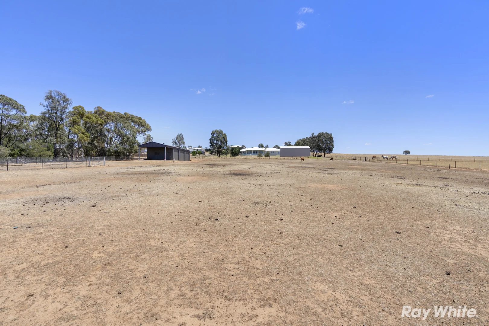 Additional image 21 of 5 Smythe Road, Junee NSW 2663