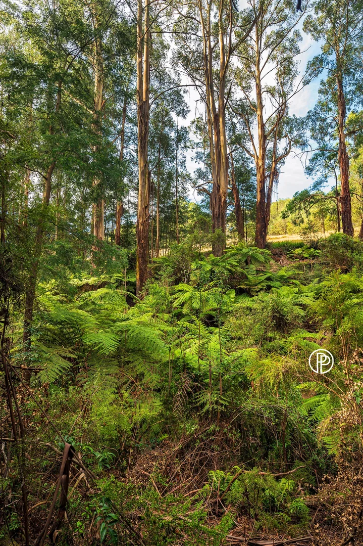 Additional image 7 of 330 Prices Road, Gladysdale VIC 3797