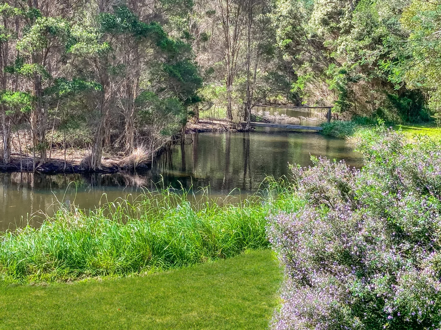 Additional image 22 of Lot 1 Binalong Bay Road, St Helens TAS 7216