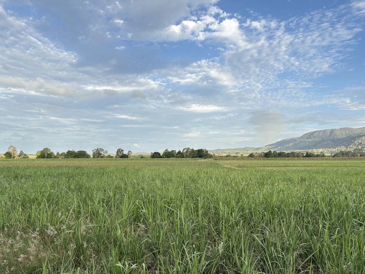 Additional image 11 of 2 Sievers Road, Oakenden QLD 4741