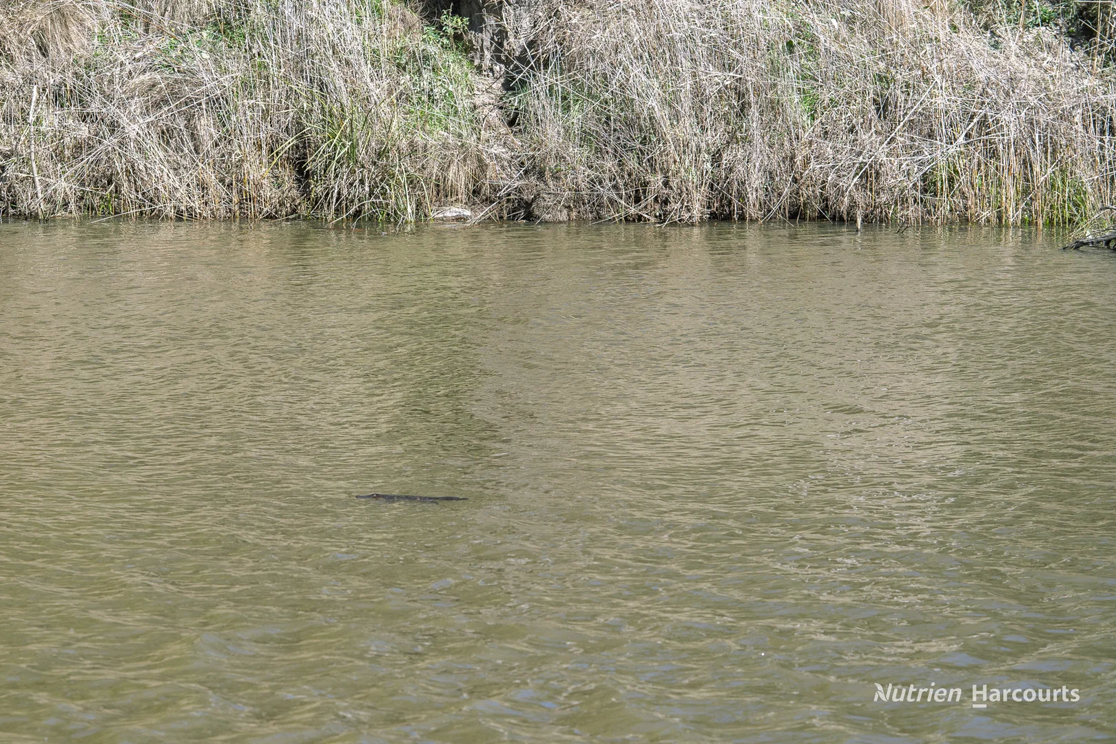 Additional image 17 of 206 - 208 Rocky Glen Road, Kingstown NSW 2358