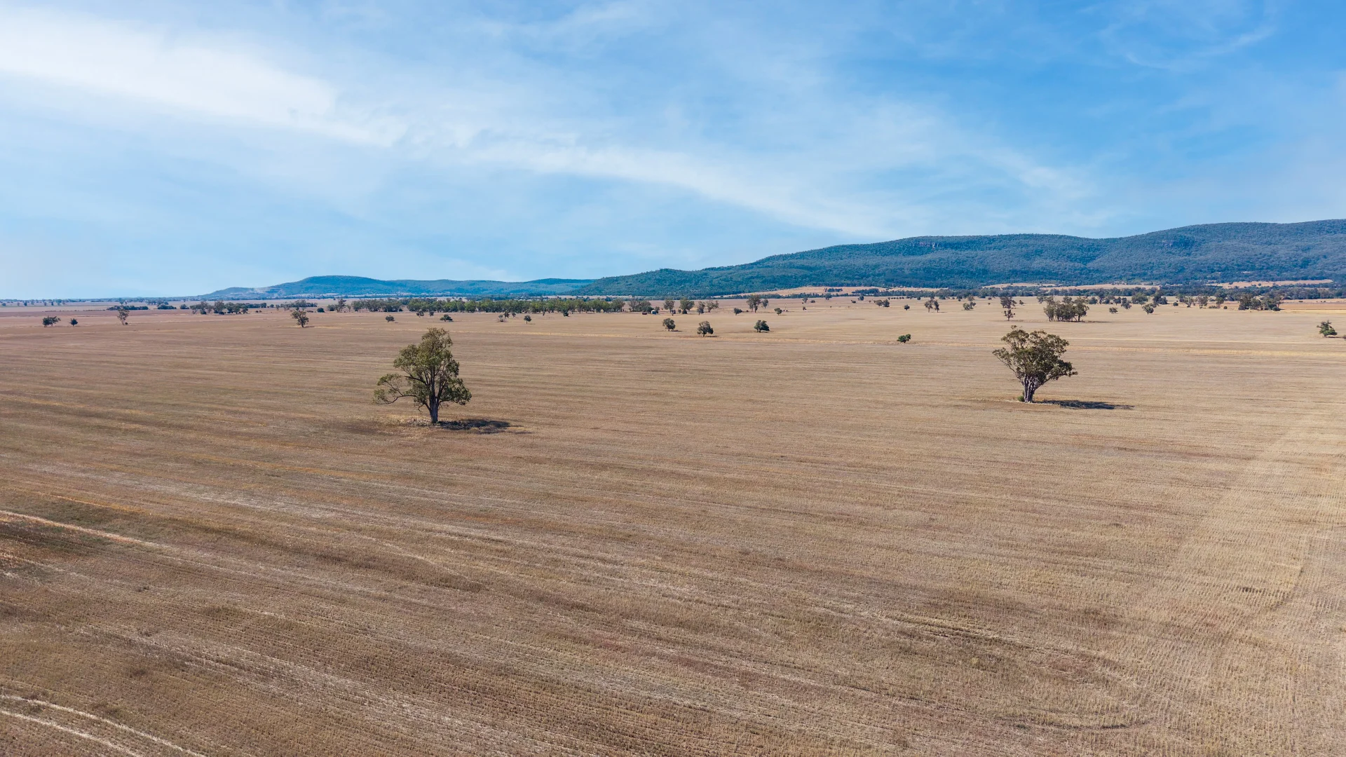 Additional image 11 of "Avoca East" 2293 Maules Creek Road, Narrabri NSW 2390