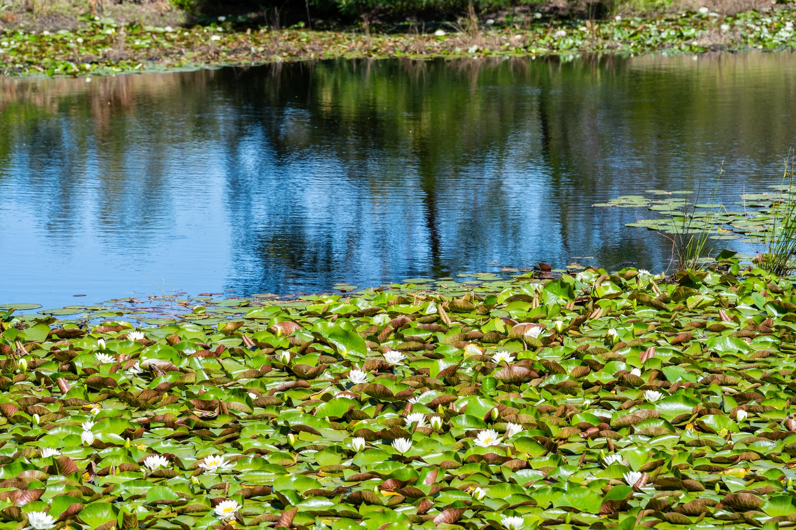 Additional image 13 of 106C Porters Creek Road, Yatte Yattah NSW 2539