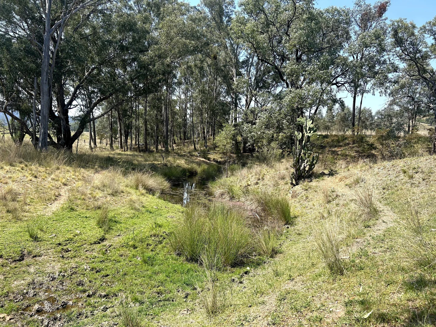 Additional image 17 of Riverview Road, Bingara NSW 2404