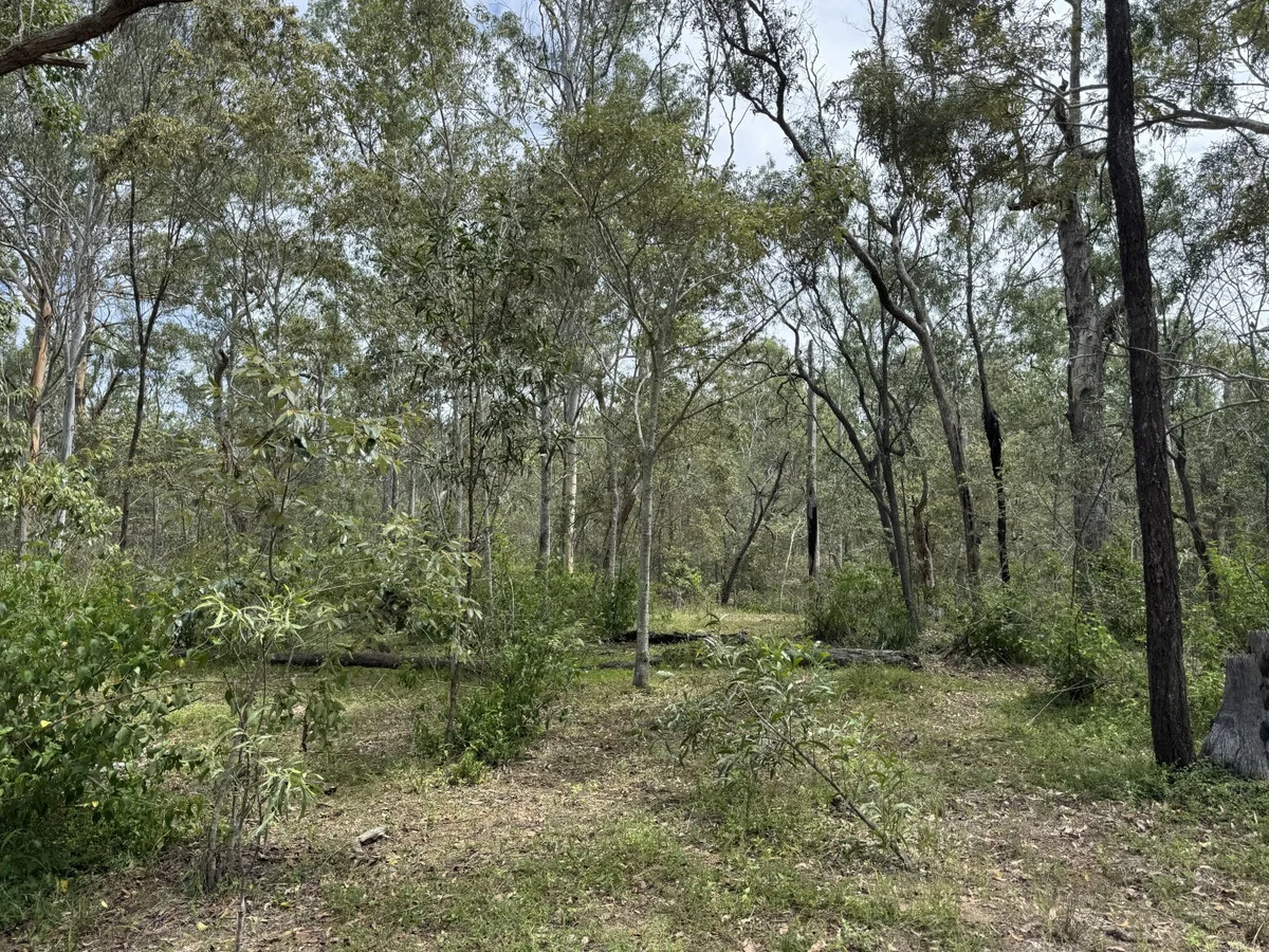 Additional image 27 of Hurdle Gully Road, Monto QLD 4630