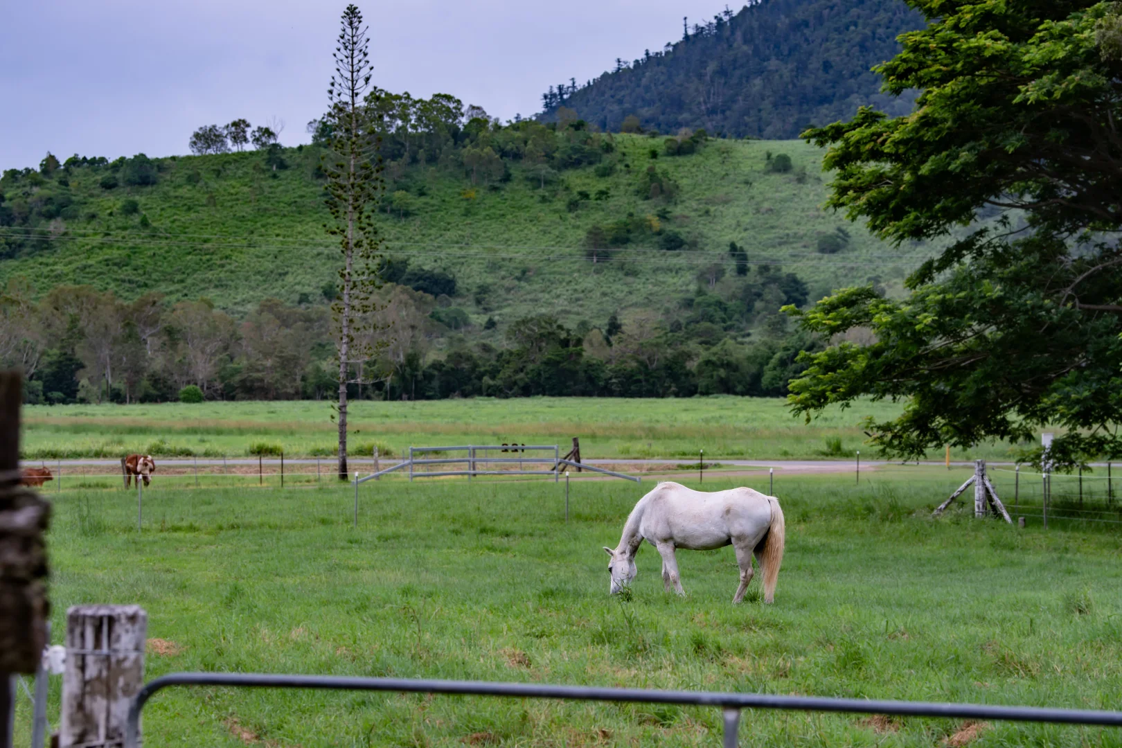 Additional image 24 of 122 Patullo Road, Gregory River QLD 4800