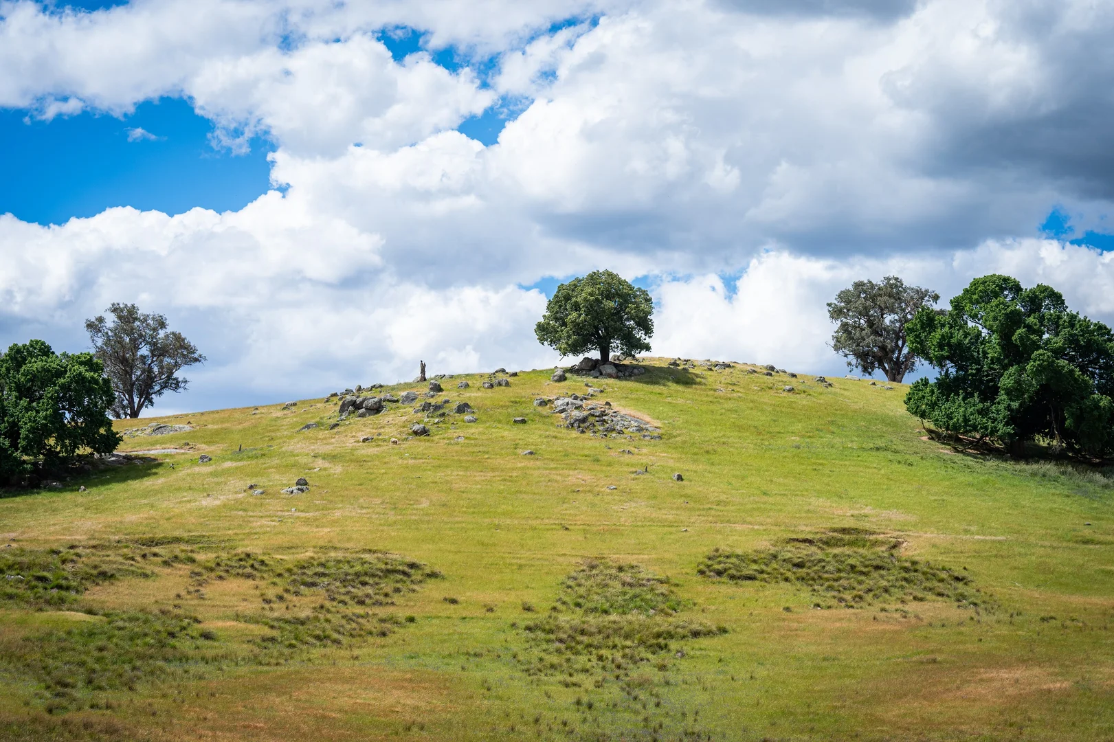 Additional image 25 of 4118 Murray River Road, Thologolong VIC 3691