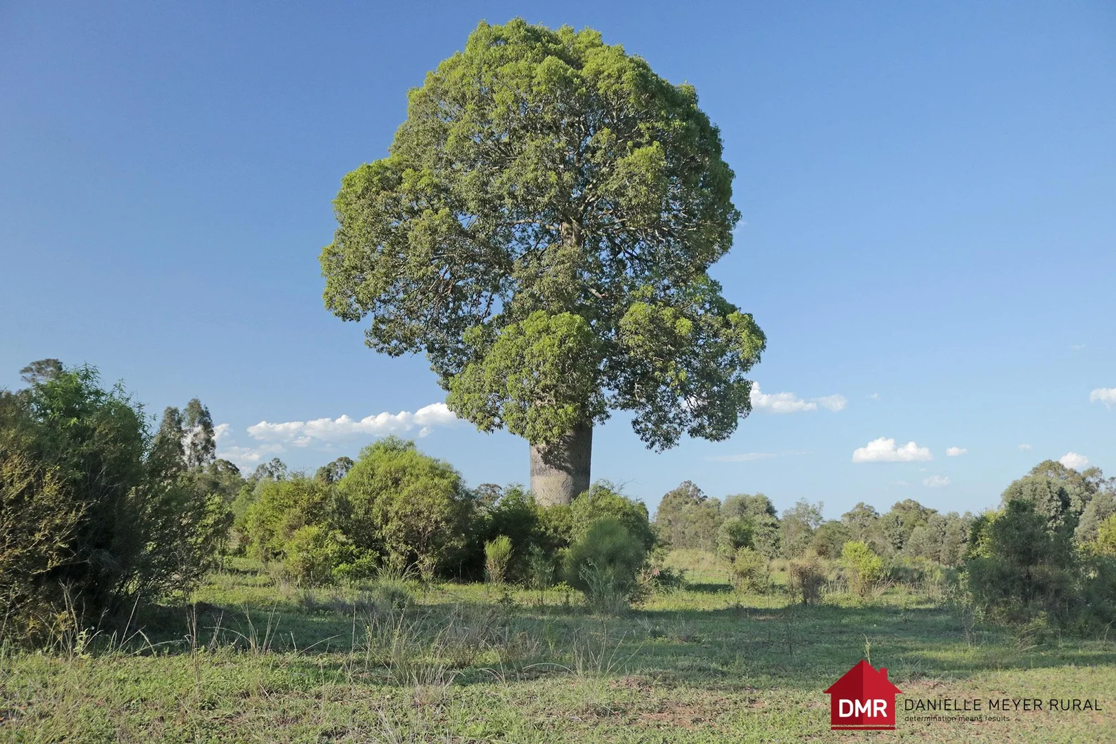 Additional image 26 of 24754 Burnett Highway, Ceratodus QLD 4627