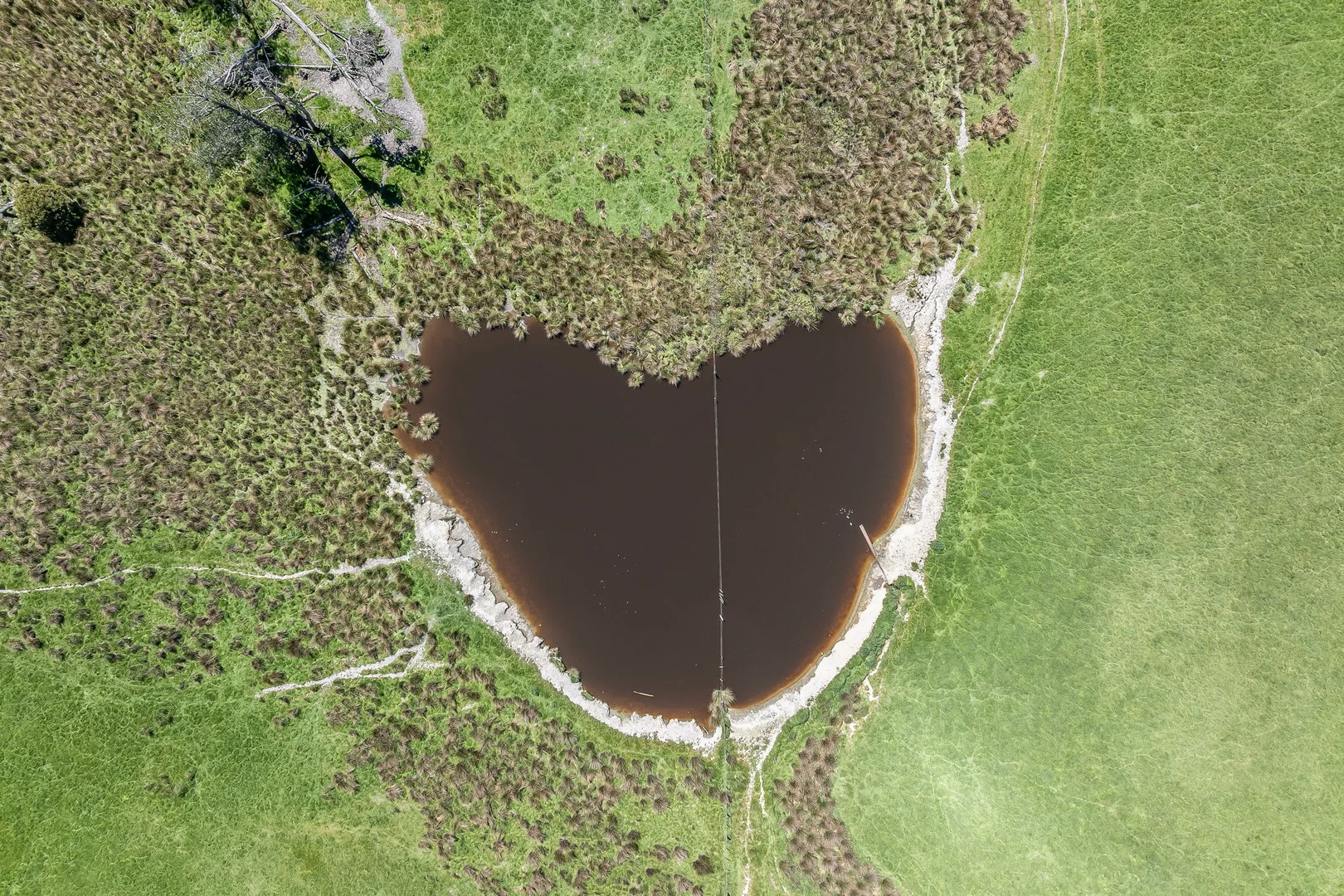 Additional image 20 of 696 Golconda Road, Lebrina TAS 7254