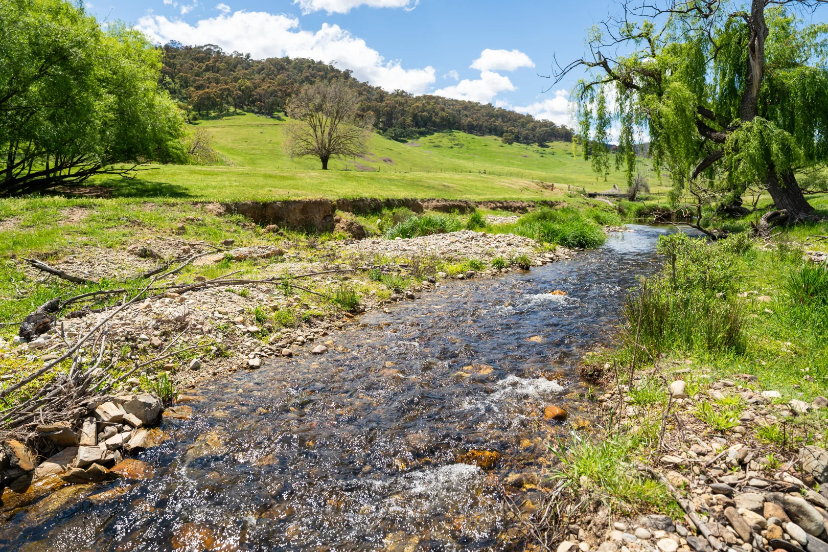 Additional image 13 of 'Grassmere'/2485 Tallangatta Creek Rd, Tallangatta Valley VIC 3701