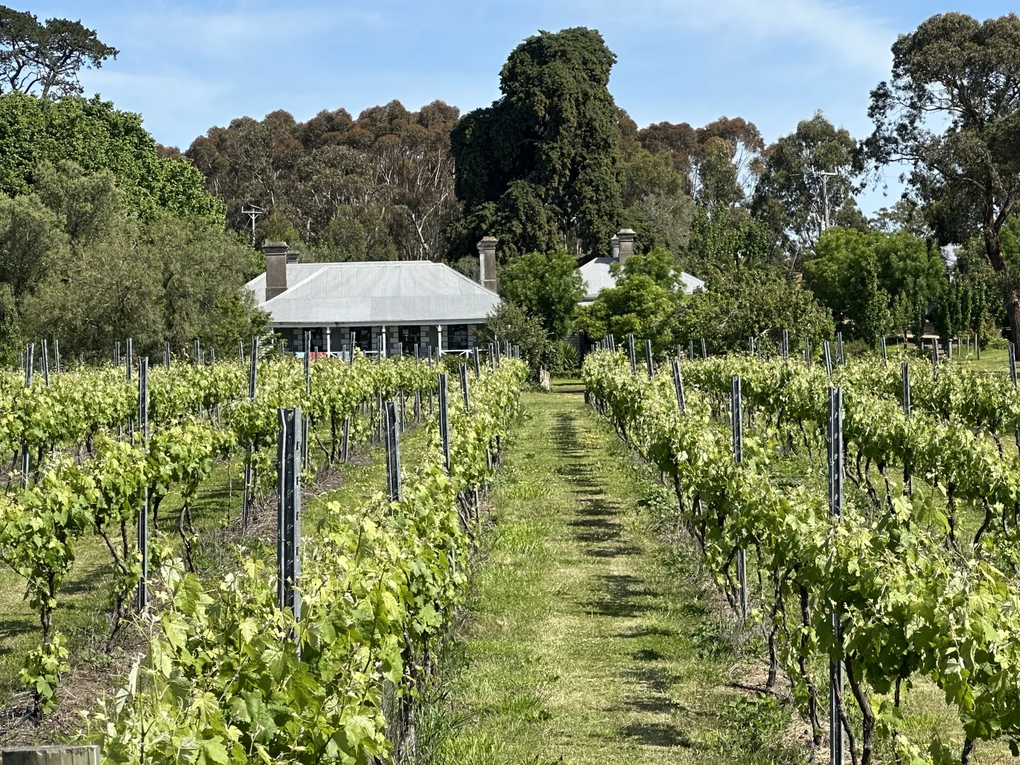 Additional image 3 of 136 Darlington-Carranballac Road, Darlington VIC 3271