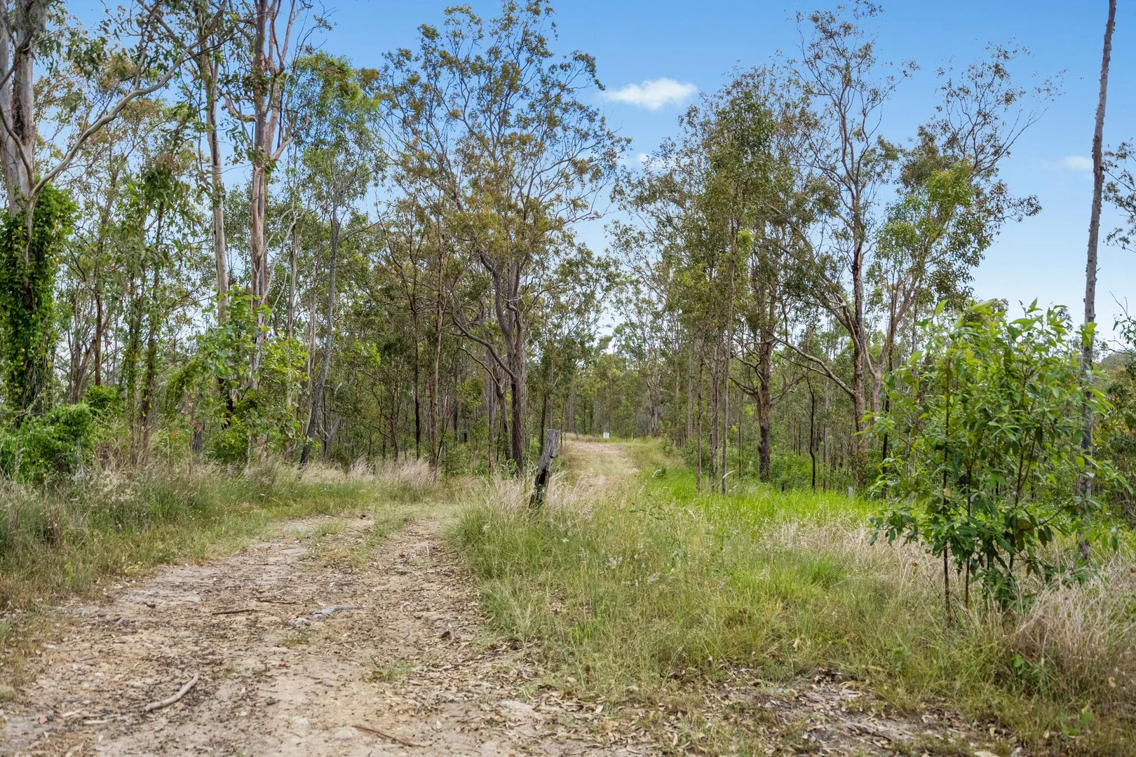 Additional image 16 of Lot 76 Rice Road, Lyons QLD 4124