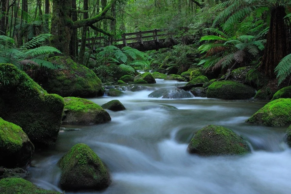 Additional image 10 of 42 Woods Point Road, Marysville VIC 3779