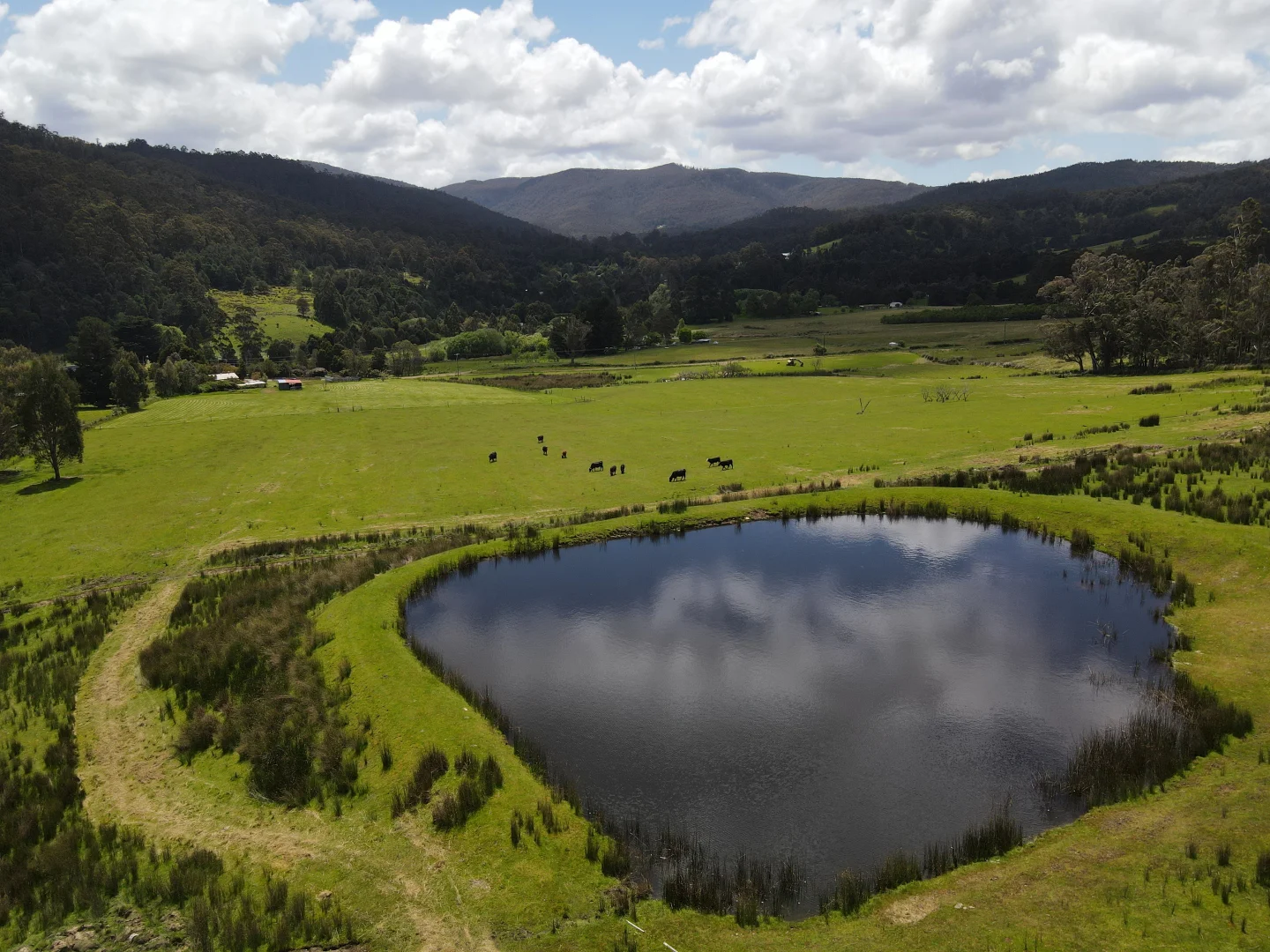 Additional image 12 of 10 Cross Road, Nicholls Rivulet TAS 7112