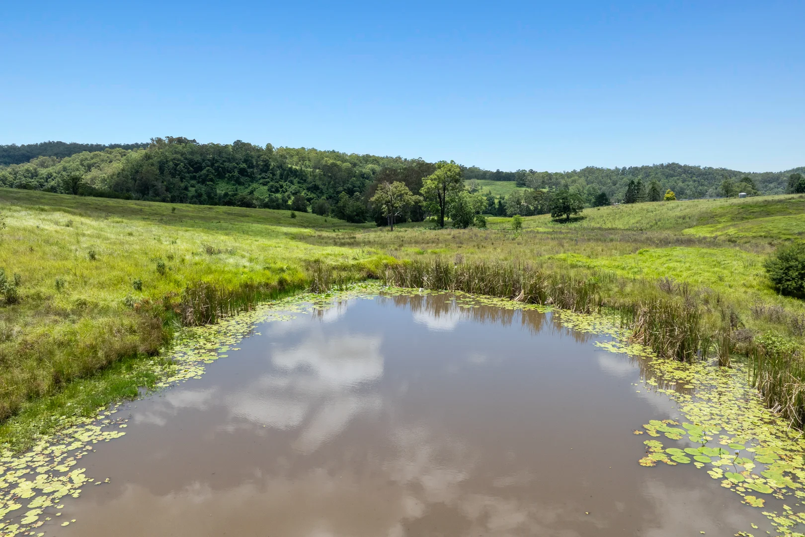 Additional image 14 of 665 Theresa Creek Road, Theresa Creek NSW 2469