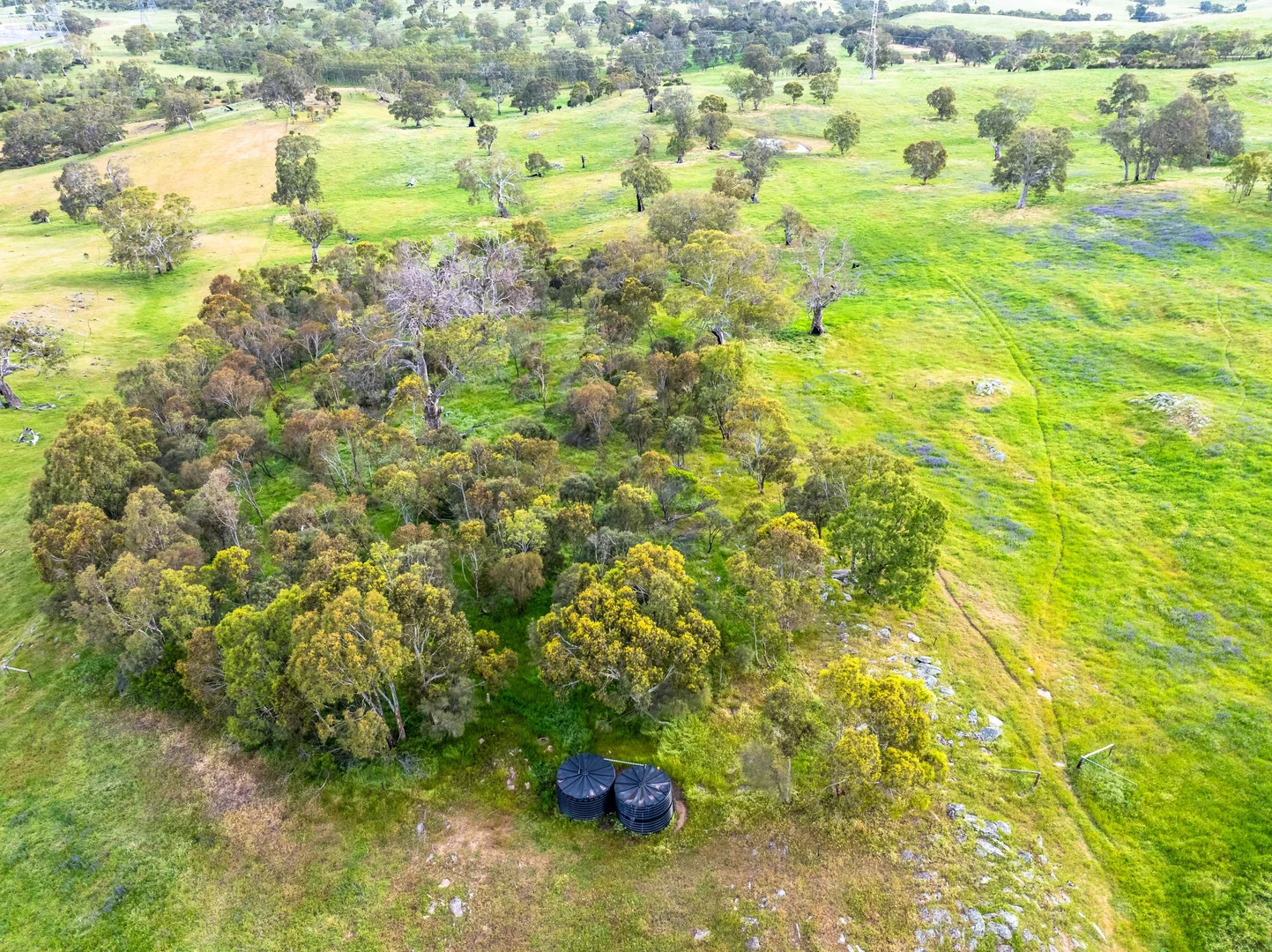 Additional image 26 of 312 Collins Road, Tungkillo SA 5236