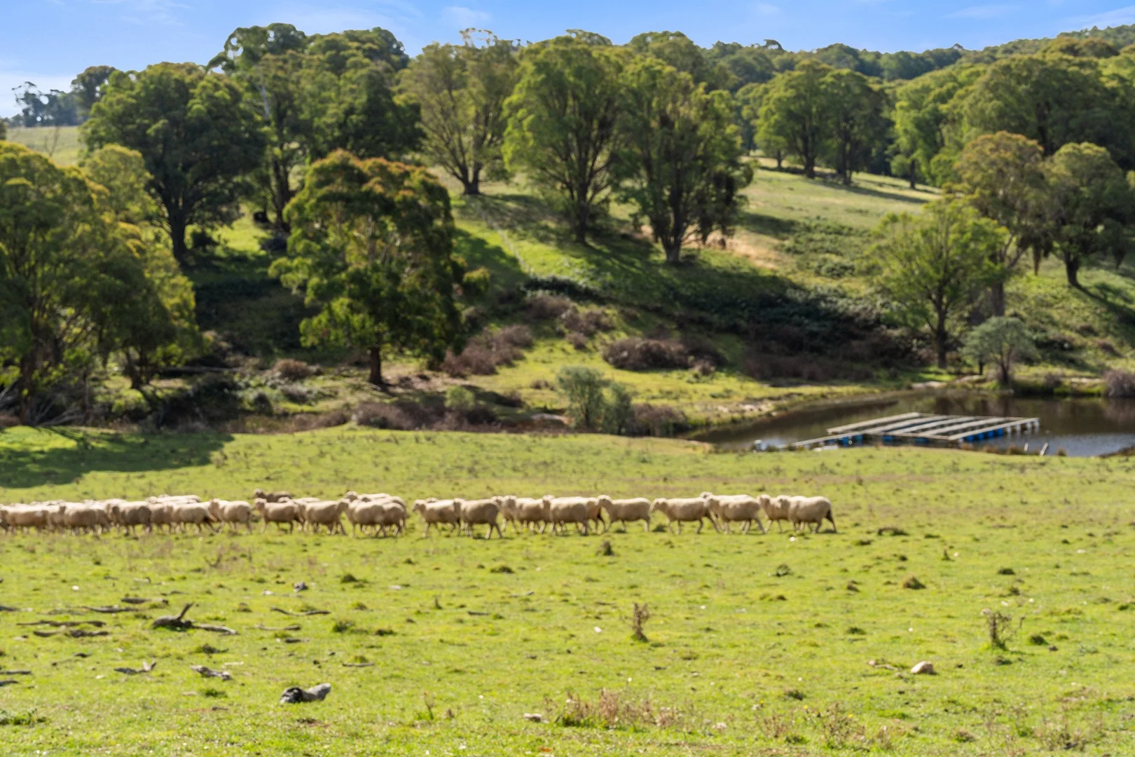 Additional image 8 of 106 Redground Heights Road, Laggan NSW 2583