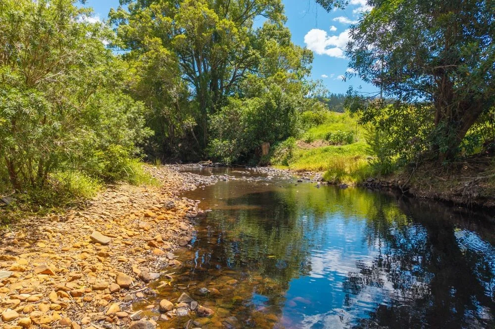 Additional image 3 of 486 North Branch Rd, Upsalls Creek NSW 2439