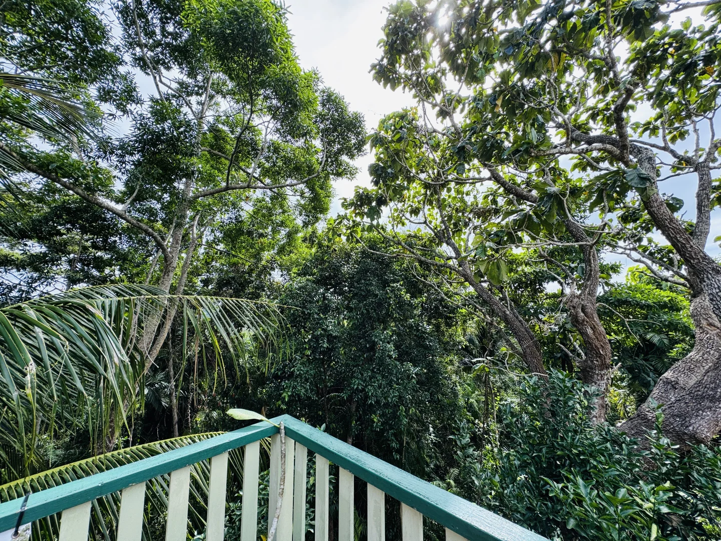 Additional image 24 of 16/23 The Boulevard, South Mission Beach QLD 4852