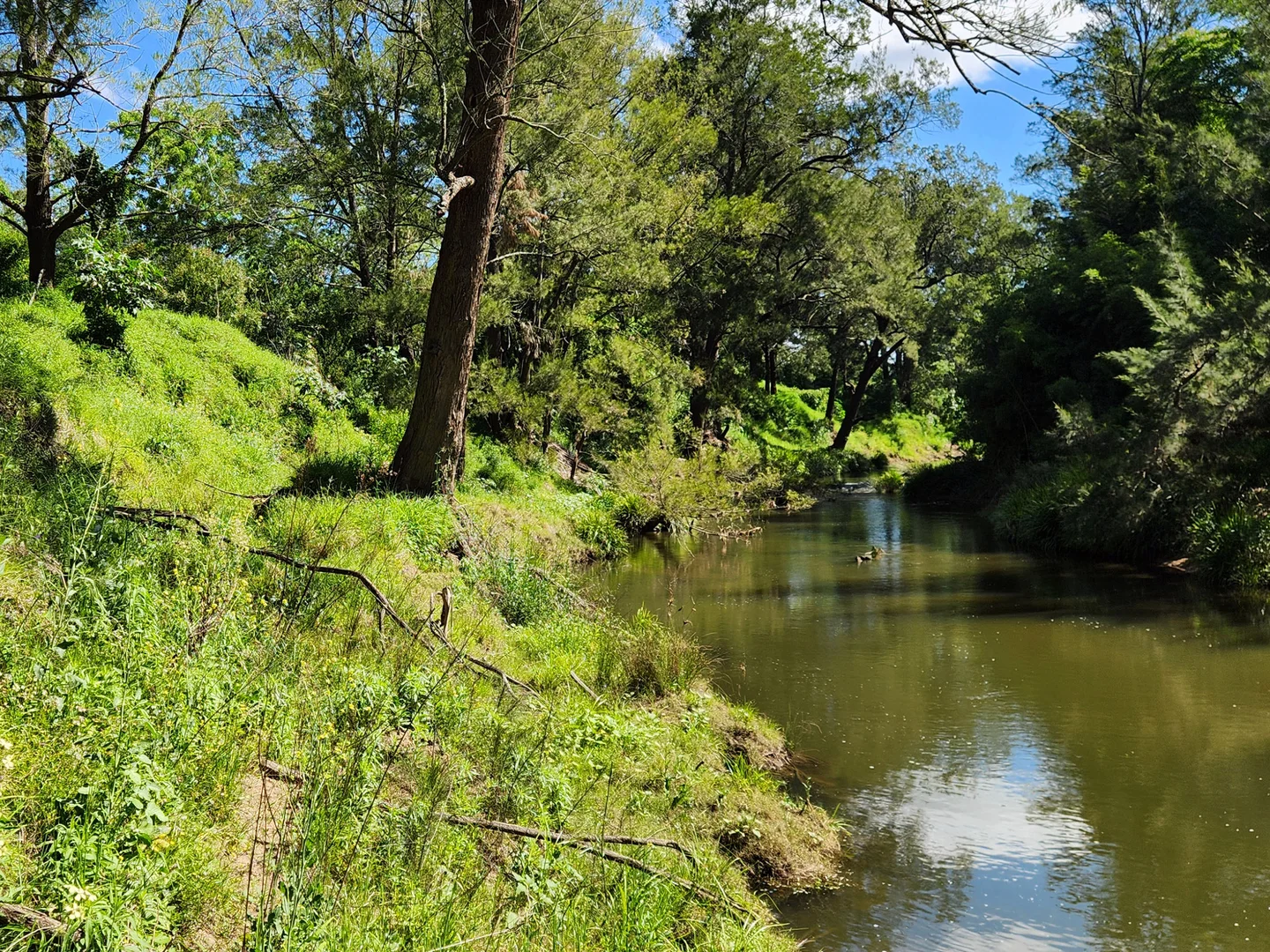 Additional image 2 of Vacy NSW 2421