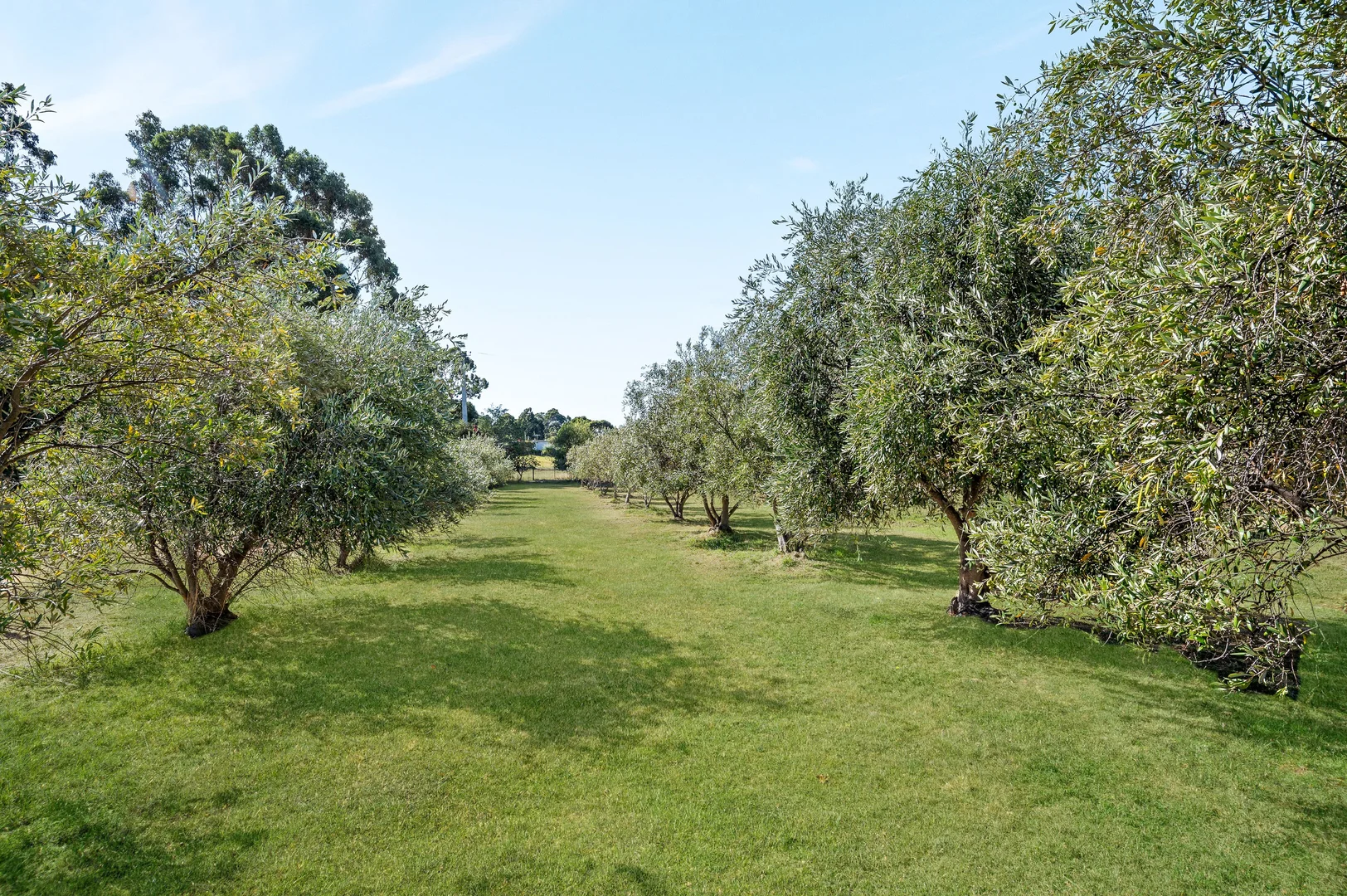 Additional image 17 of 4674 Channel Highway, Gordon TAS 7150