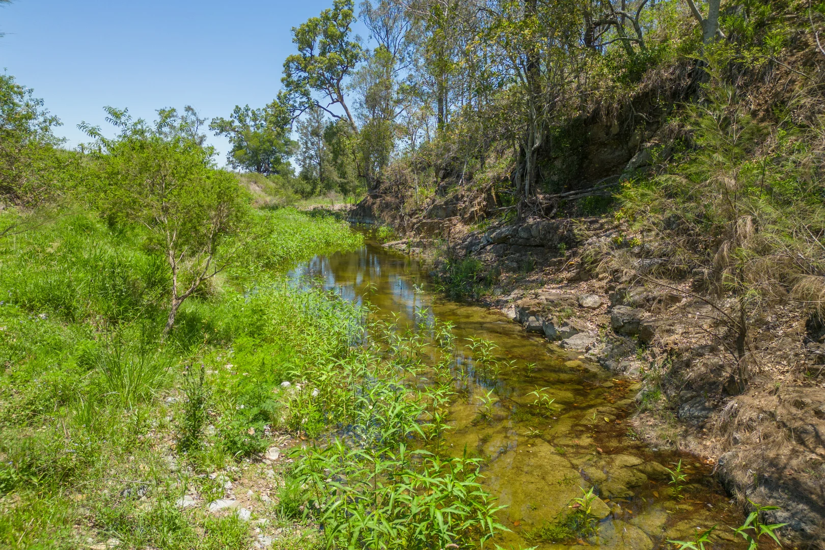 Additional image 32 of 483 Scrub Creek Road, Scrub Creek QLD 4313