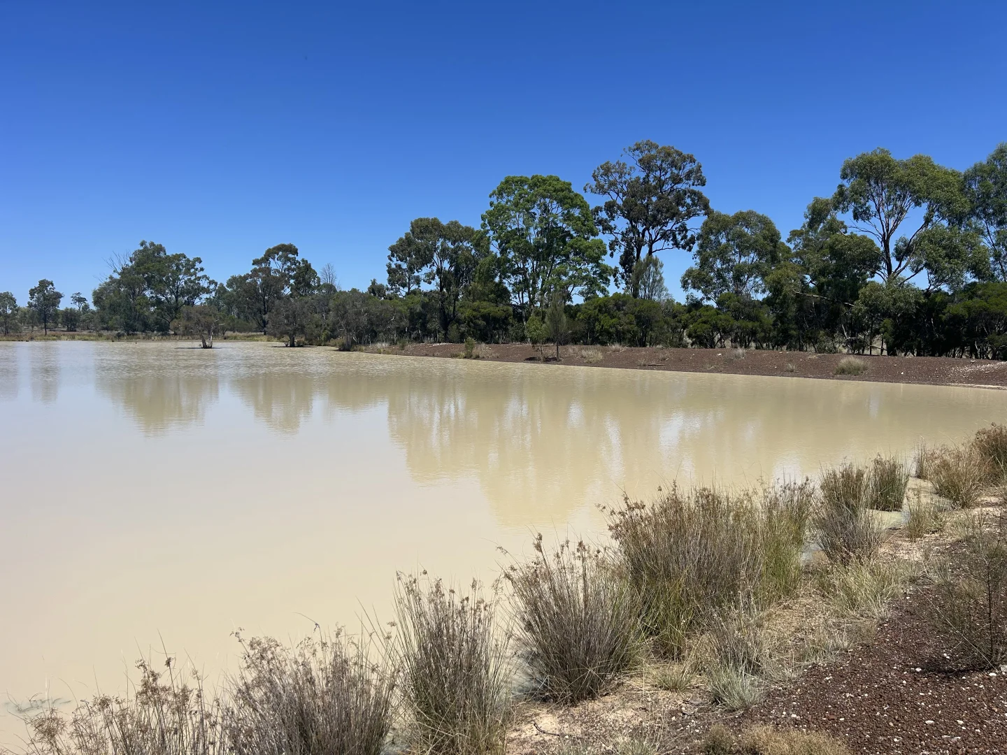 Additional image 16 of Lot 4 Chinchilla-Tara Rd, Wieambilla QLD 4413