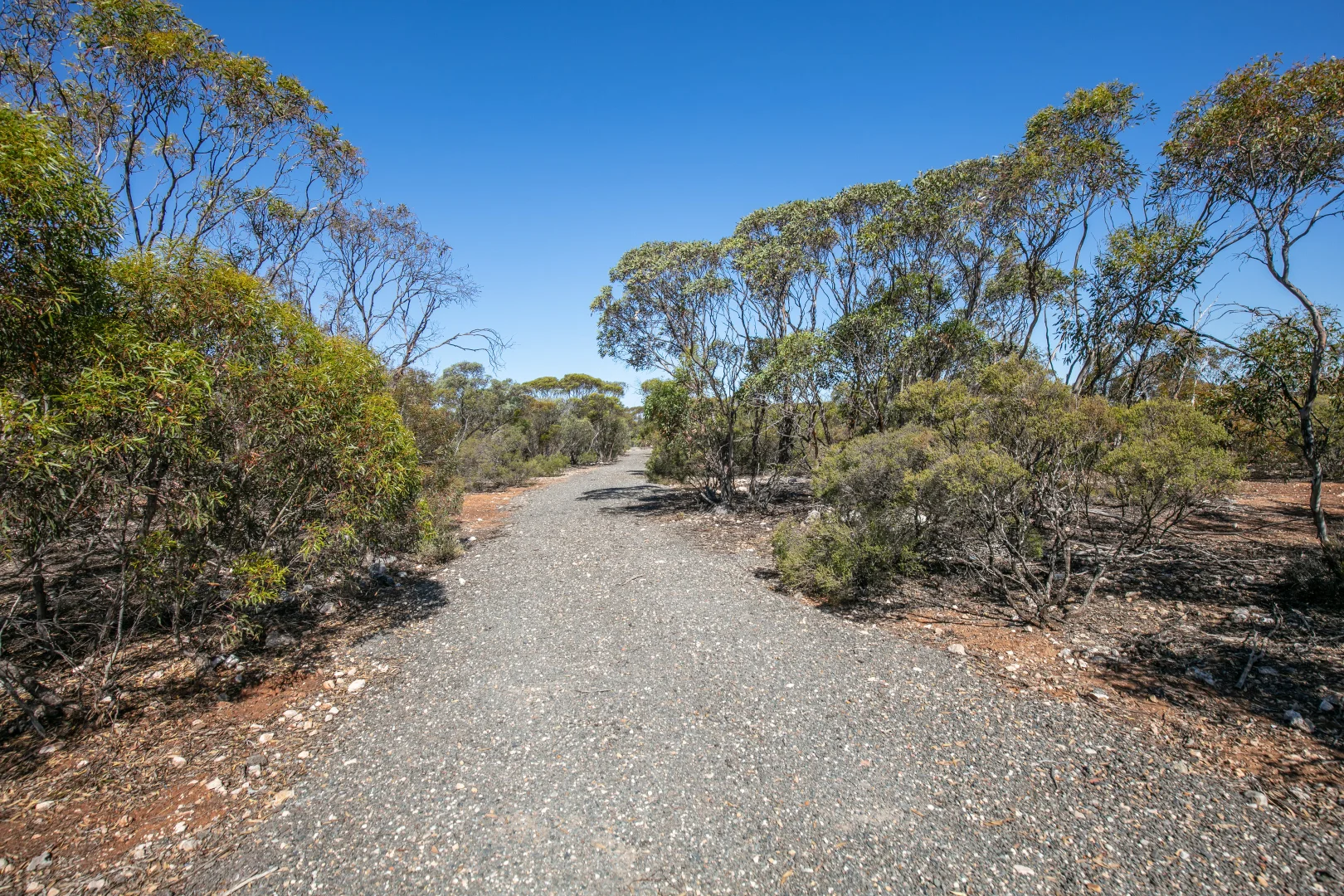 Additional image 4 of Lot 102 Green Road, Ettrick SA 5253