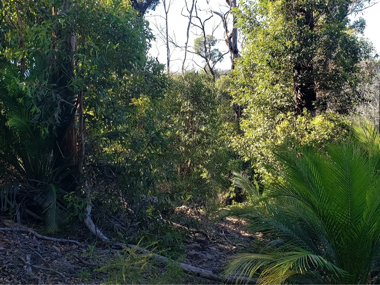 Additional image 9 of Illaroo NSW 2540