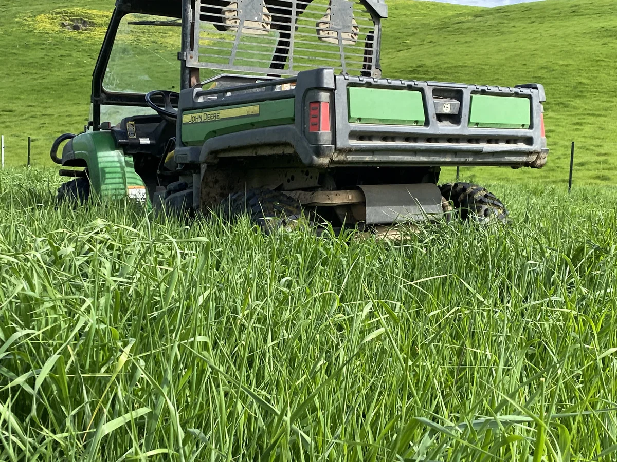 Additional image 35 of 64 Ford Luers Road, Casterton VIC 3311