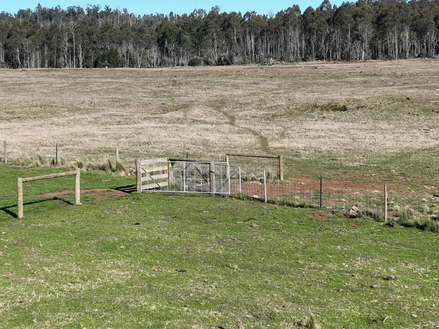 Additional image 17 of 560 Gads Hill Road, Mersey Forest TAS 7304