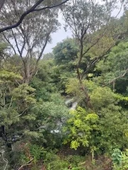 Additional image 24 of 311/81 Willandra Road, Narraweena NSW 2099