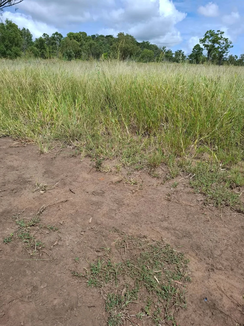 Additional image 26 of 124 Lee Farm Road, Bushley QLD 4702