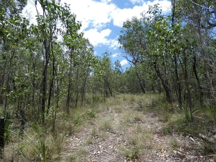 Additional image 5 of 668 Matchbox Road, Deepwater QLD 4674