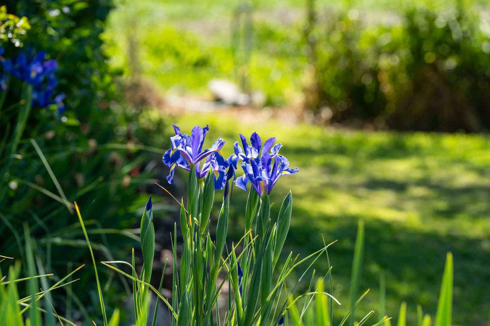 Additional image 29 of 129 Baileys Road, Cudgewa VIC 3705