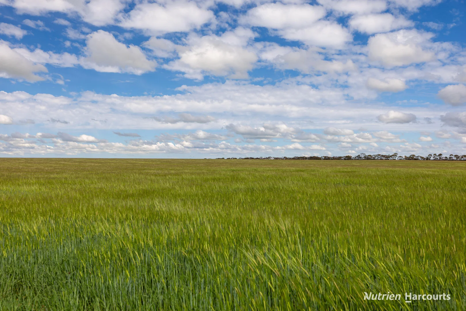 Additional image 8 of . Rollond Road, Cascade WA 6450