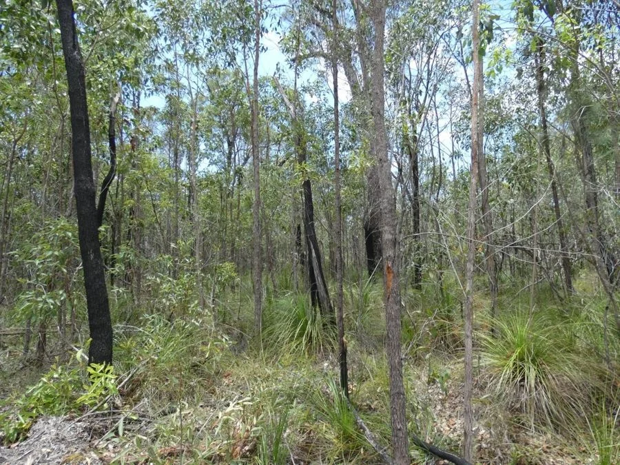 Additional image 14 of 668 Matchbox Road, Deepwater QLD 4674