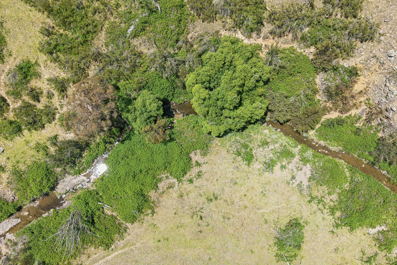 Additional image 9 of Lot 1/414 Horseshoe Rd, Mullion NSW 2582