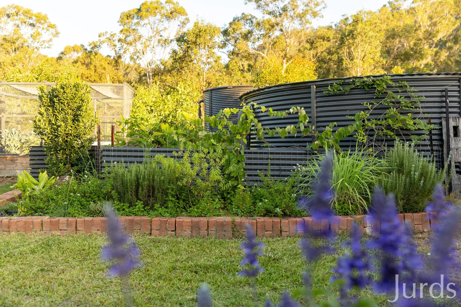 Additional image 32 of 1066 Wollombi Road, Broke NSW 2330