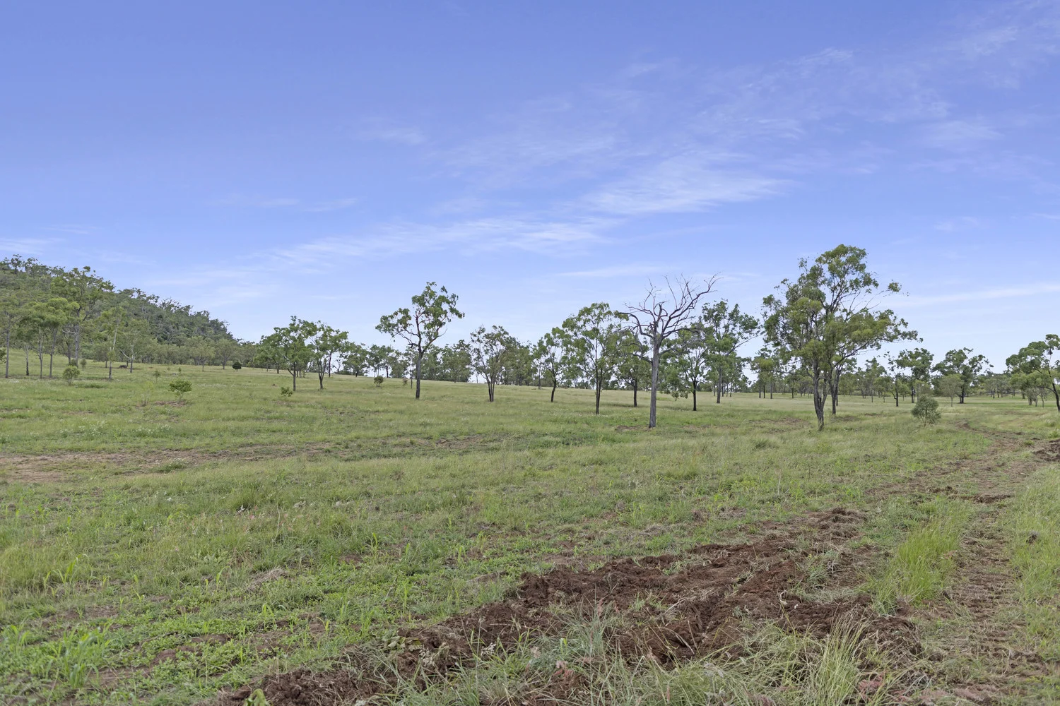 Additional image 13 of 124 Lee Farm Road, Bushley QLD 4702