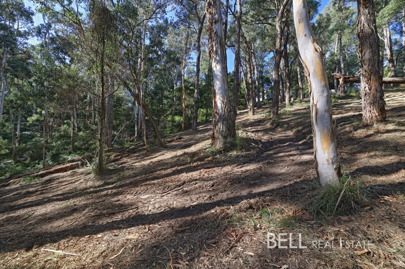 Additional image 3 of 33 Selby Aura Road, Menzies Creek VIC 3159