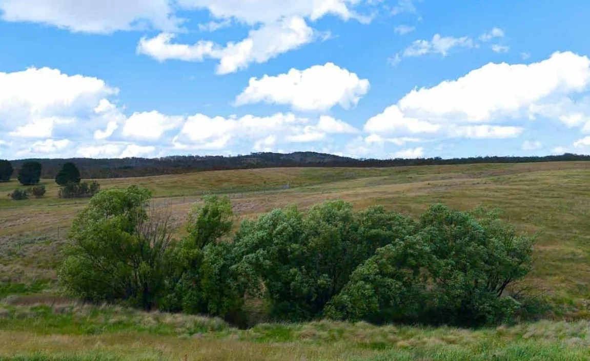 Additional image 5 of 83 Shinglehouse Road, Bywong NSW 2621