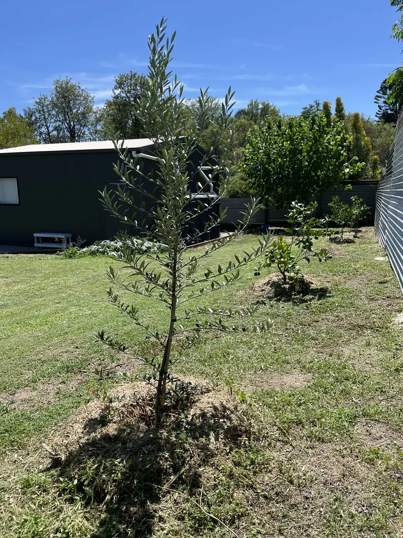 Additional image 11 of 16 Nelson Street, Proston QLD 4613