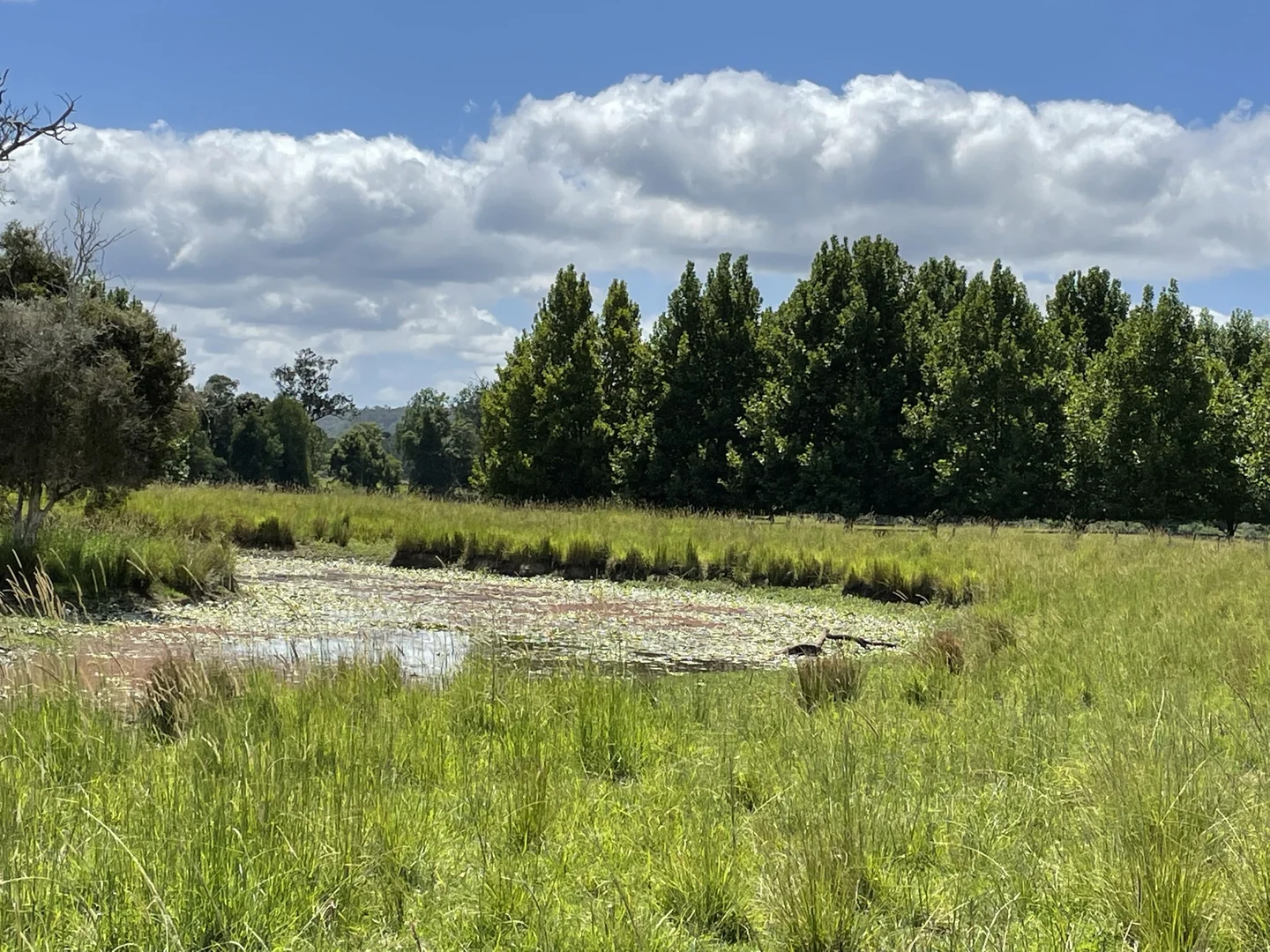 Additional image 9 of 1554 & 1598 Rollands Plains Road, Rollands Plains NSW 2441